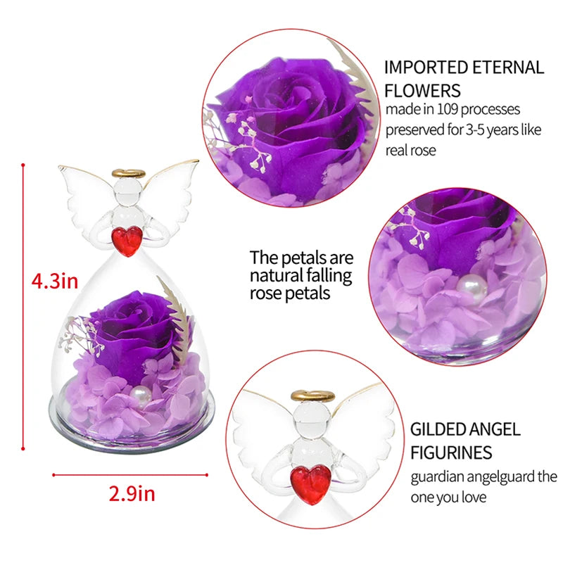 Eternal Angel Rose