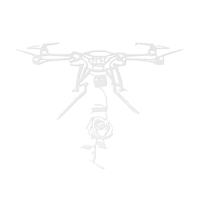 Drone-inspired Metal Art